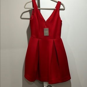 Red Anthro Dress